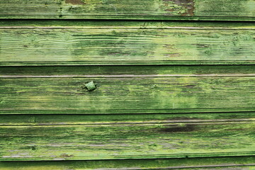 Planches de bois peintes en vert délavées. Détail de façade de maison en bois.