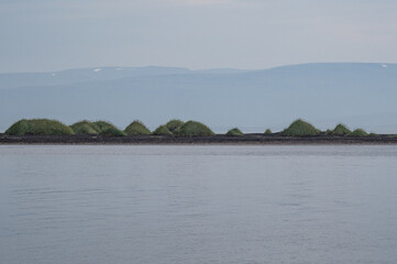 island, shore and rocks on the seashore in iceland