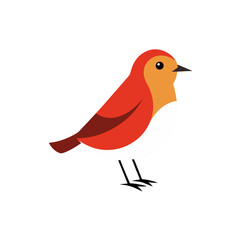 Stylized flat design vector illustration of a small cartoon robin bird with red breast, standing, isolated graphic element suitable for springtime and nature projects.