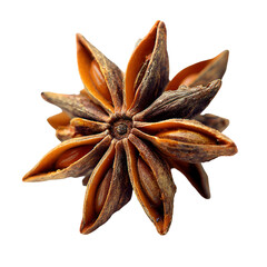Close up of a single star anise spice isolated on a black background