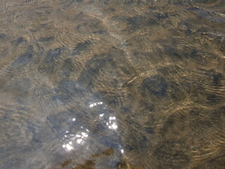 Abstract Water Surface Ripple Texture and Light Reflections