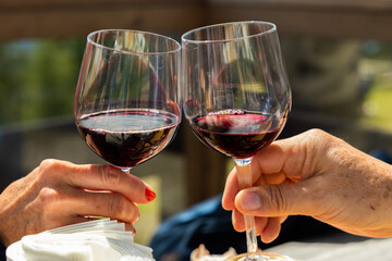 mani di un uomo e una donna adulti che fanno un brindisi con dei calici di vino rosso, di giorno, a pranzo, all'aperto