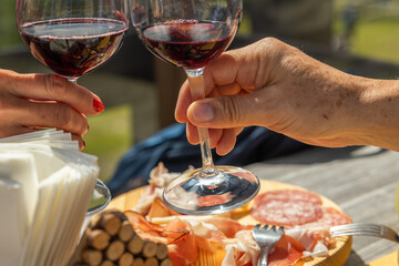 mani di un uomo e una donna adulti che fanno un brindisi con dei calici di vino rosso, di giorno, a pranzo, all'aperto, con un tagliere pieno di affettati sullo sfondo