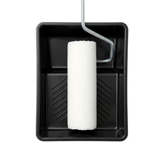 White Paint Roller in Black Tray graphic design
