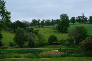 rural landscape with trees