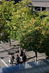 Obraz premium 豊洲の遊歩道 東京都江東区