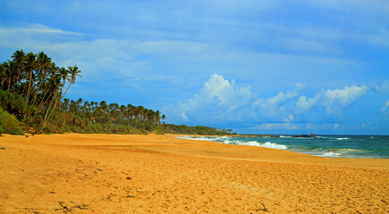 A beautiful palm tree lined tropical beach, with Golden sand and cascading waves against a pale blue cloudy sky. Rekawa Beach, Tangalle, Sri Lanka
