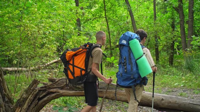Two young men with backpacks and trekking poles taking a break on a log in a lush green forest. Vacation concept on a sunny summer day.