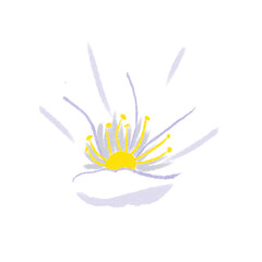 White Spring Flower Abstract Hand-Drawn Illustration