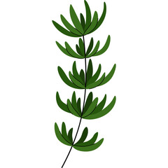 Illustration of a green plant stem with five sets of leaves isolated on a transparent background