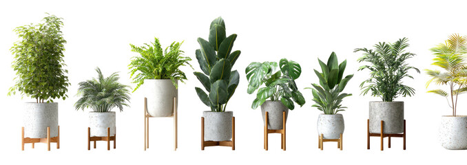 Various houseplants in simple modern planters on wooden stands