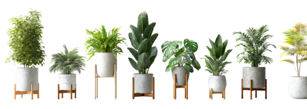 Various houseplants in simple modern planters on wooden stands