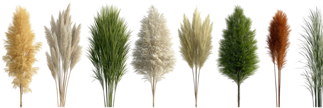 Collection of tall, fluffy ornamental grasses in various natural colors - Powered by Adobe
