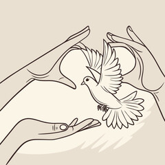 Gentle hands cupping and releasing a white dove symbolizing freedom hope and peace