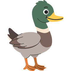 Cute Cartoon Mallard Duck Standing With A Yellow Beak Green Head Brown Body And Webbed Feet On A Transparent Background