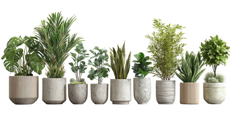 Assortment of various green potted plants on black background