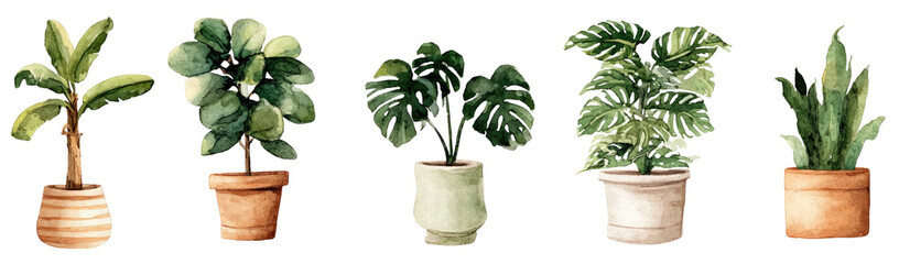 Five potted houseplants with varied green foliage