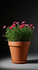 A versatile terracotta planter, ideal for cultivating vibrant blossoms and lush foliage in any indoor or outdoor setting ,flower ,bloom ,container