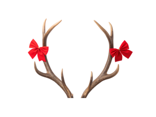 Natural brown deer antlers adorned with festive red satin ribbon bows tied symmetrically, isolated on a transparent background