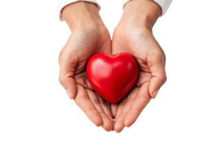 Two hands presenting red glossy heart in open palms showing care giving and loving gesture, isolated on a transparent background