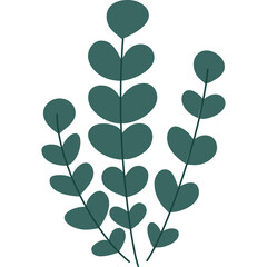Dark Teal Abstract Plant Stems with Rounded Leaves on Transparent Background Vector Illustration