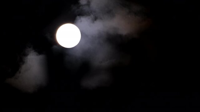 Bright round full moon in dark night sky with clouds and moving foliage in fore