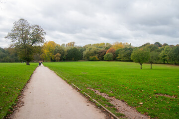 A beautiful landscape with trees in autumn color at Wollaton Country and Deer Park.