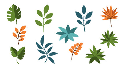 Obraz premium Modern botanical leaf collection on white background