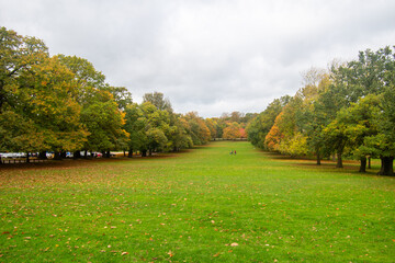 A beautiful landscape with trees in autumn color at Wollaton Country and Deer Park.