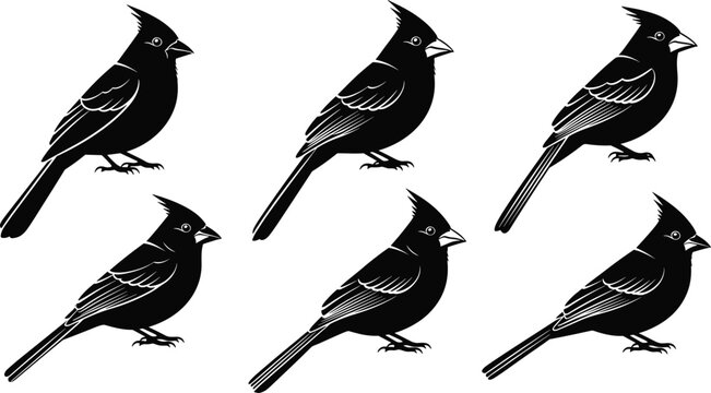 Cardinal bird illustration, stylized vector artwork, graphic design element, symmetrical pattern, decorative wildlife art, modern nature drawing, blue outline silhouette