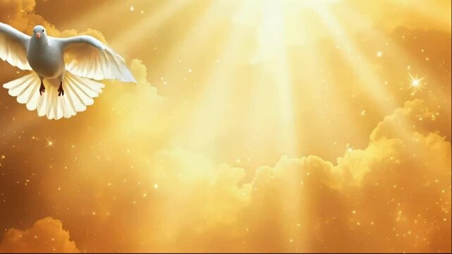 White Dove Ascending in Golden Light and Clouds.  A white dove with its wings outstretched in mid-flight, appearing to ascend through a sky filled with golden clouds and sparkling light.