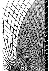 saree Palav Pattern Prin Digital Art paisley.digital saree cottan with textures allover pattern flower test 
traditional saree digital print design.Digital Saree Pallu and blouse .