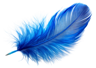A Single Blue Feather,   isolated on white background ,PNG. AI Generated
