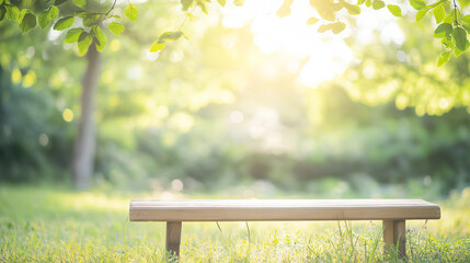 木漏れ日の中のベンチと緑の風景