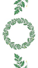 Obraz premium Digital illustration of green leafy botanical wreath with isolated sprigs
