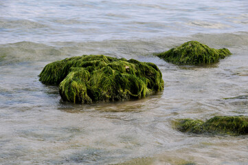 Felsen am Strand von Pangalo Island