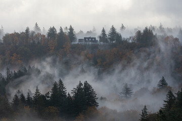 Mysterious house surrounded by fog and autumn forest on a calm fall morning. Moody misty landscape with colorful trees creating an atmospheric and dreamy feel perfect for nature and creative visuals