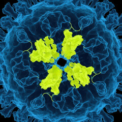 High Resolution CryoEM of Viral Uncoating Process Key to Antiviral Drug Design and Therapy