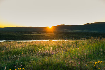 Golden hour bathes the serene meadow in warm light as the sun dips low. © Viks