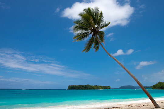 The immaculate beach at Port Olry, Espiritu Santo island, Vanuatu