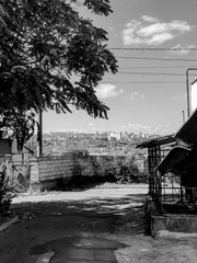 A black and white view down a narrow, shaded path in a residential area, with a cityscape visible in the distance under a cloudy sky