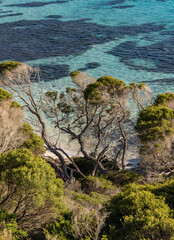 Looking down on the beautiful turquoise water and coastal flora of Observatory beach, Esperance, Western Australia.