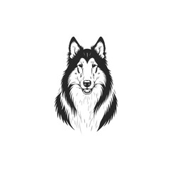 Naklejka premium Majestic Collie Dog Portrait Illustration.