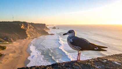 Bird perched atop a cliff overlooking a sandy beach and ocean, illuminated by the setting sun