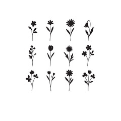 Floral and plant silhouettes with decorative leaves and flowers vector pattern