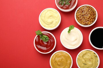 Different sauces and herbs on red background, flat lay. Space for text