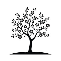 Fototapeta premium Silhouette of a blooming cherry blossom tree with delicate flowers