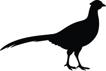 Pheasant bird silhouette vector icon