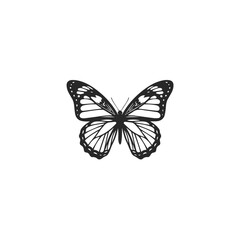 Obraz premium Minimalist Black and White Butterfly Vector Illustration.