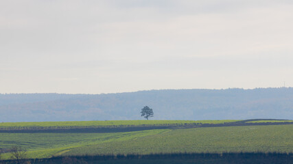 Autumn Landscape Slope Green Grass